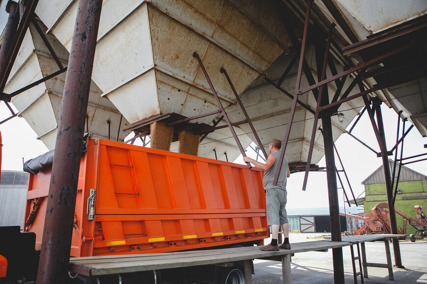 Экспорт зерна через порты Кубани упал почти на 30 процентов